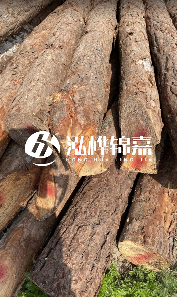 <strong>松木樁和杉木樁的用途區(qū)別？哪個(gè)更適合打樁用？</strong>