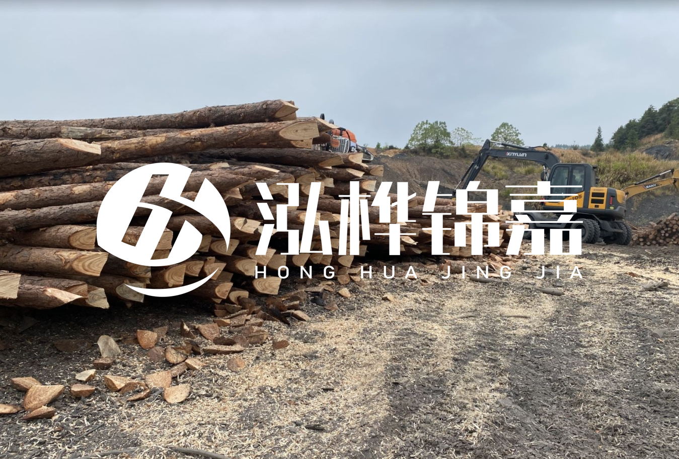 松木樁尾徑是什么意思？