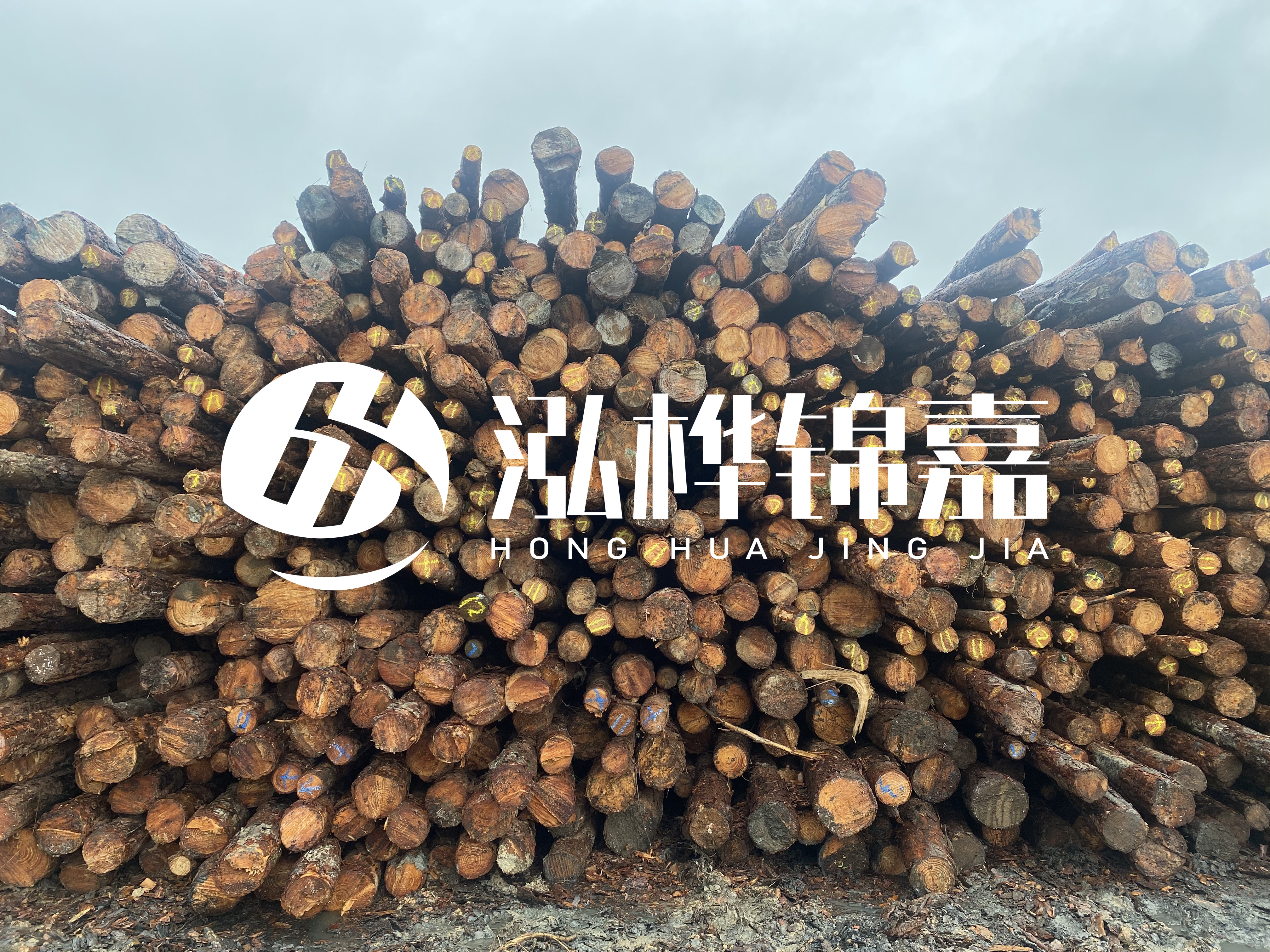 松木樁的直徑一般取多少？