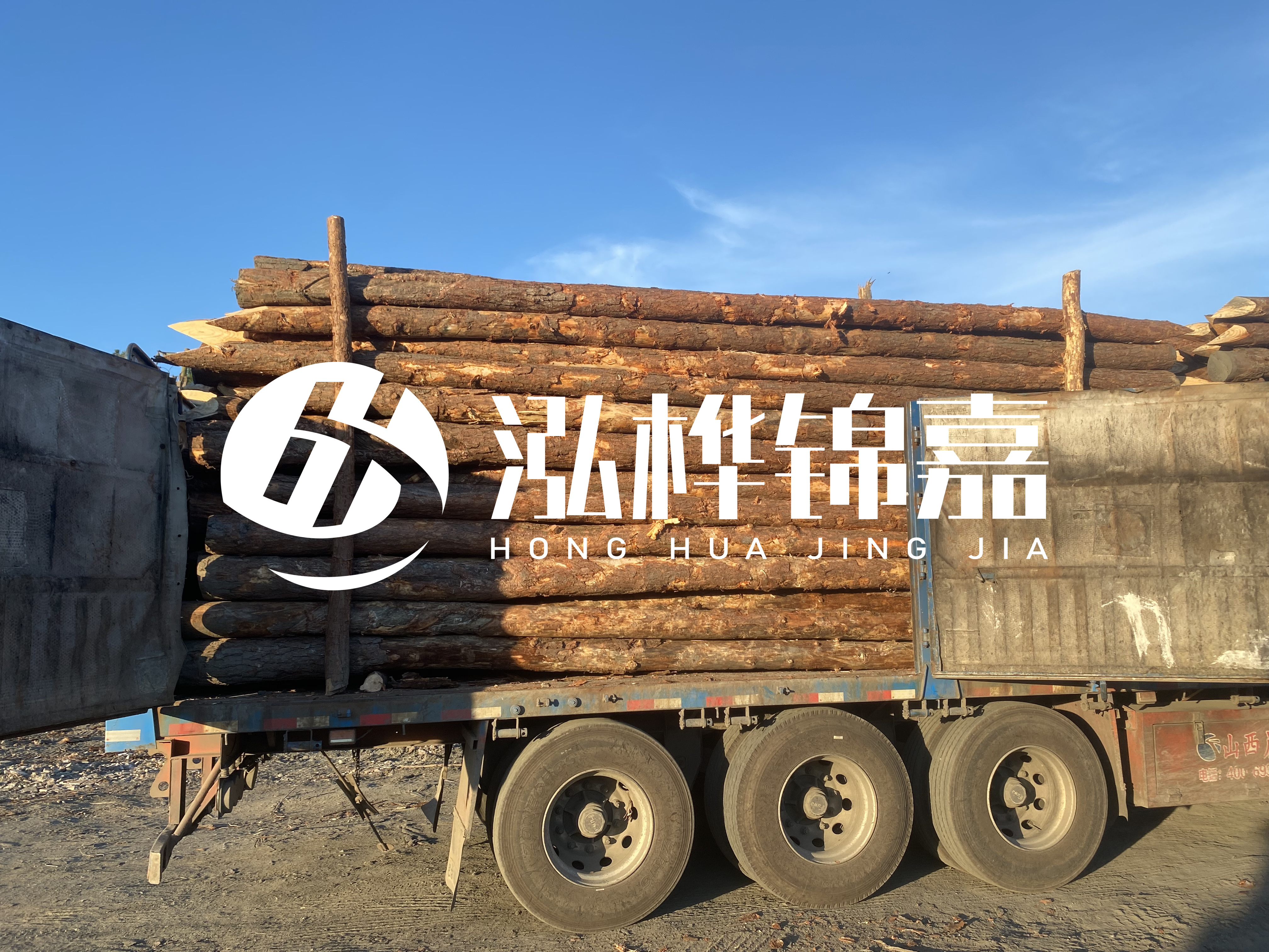河道治理為什么要用松木樁？