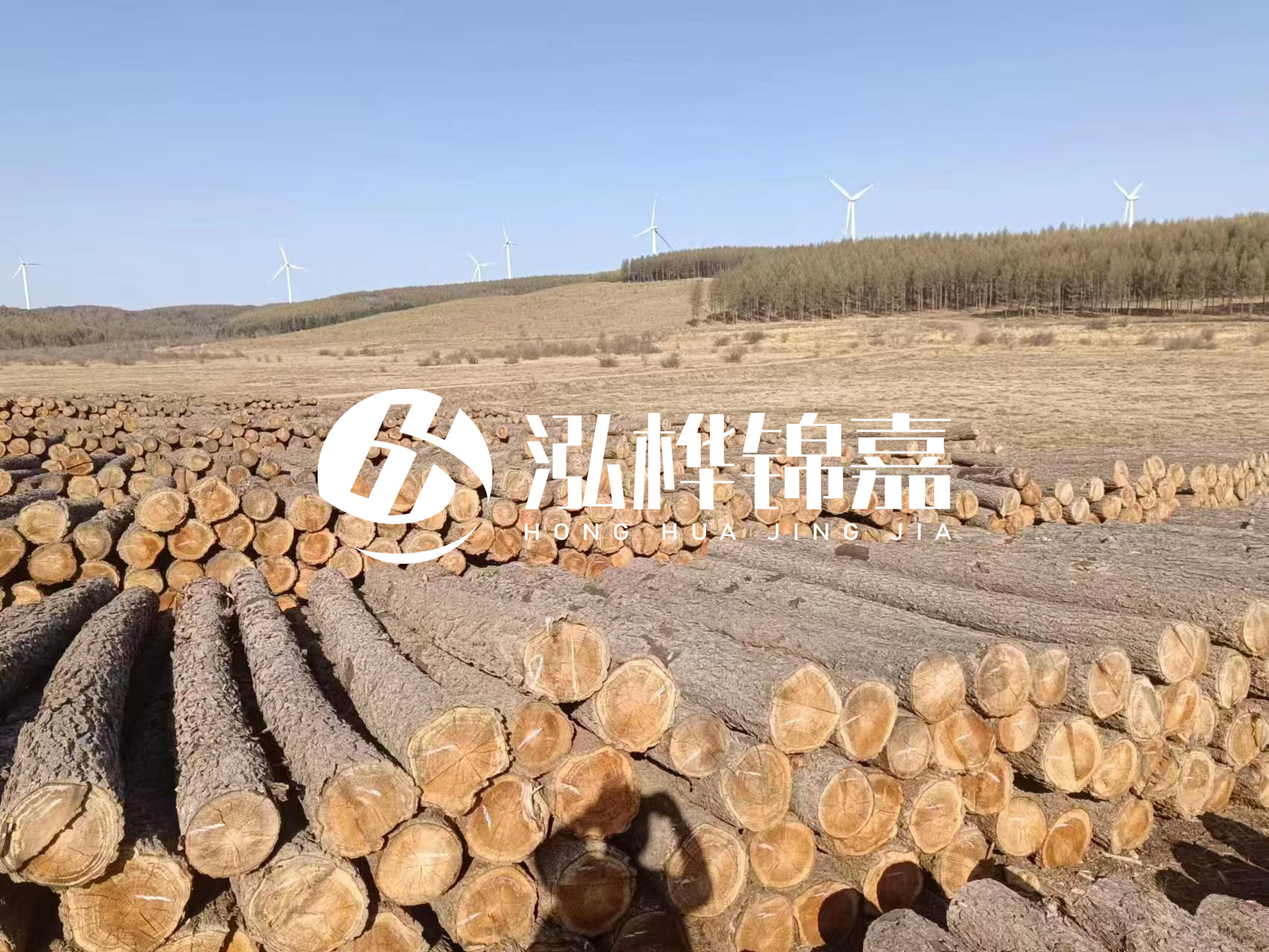 咸寧松木樁源頭廠家-哪里能買到質量好的松木樁打樁木？