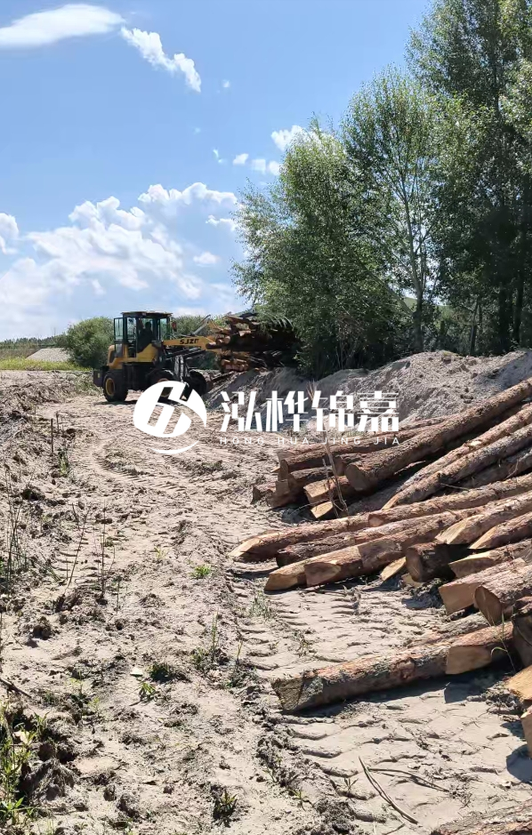 松木樁處理技術要求是什么-松木樁處理地基間距多少合適呢？