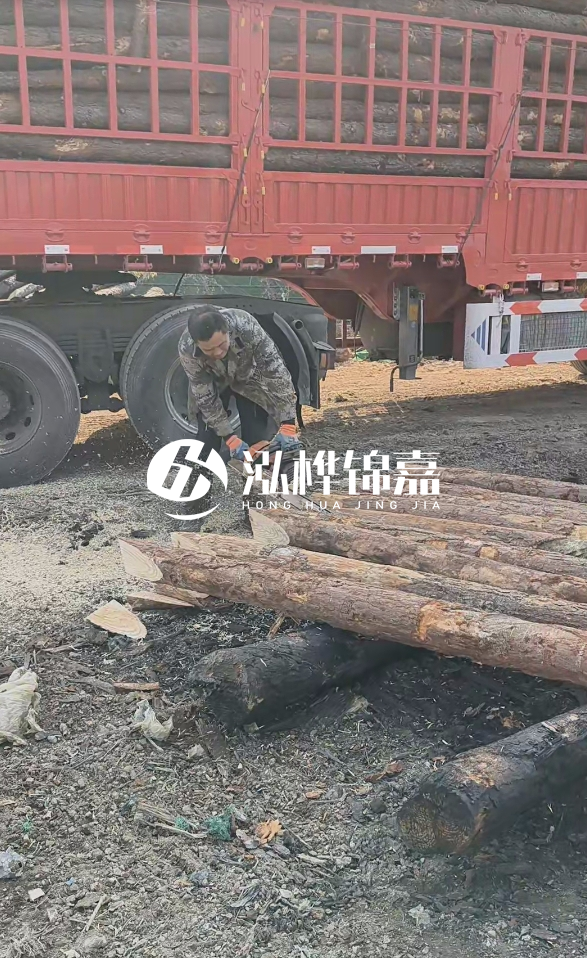2米松木樁多少錢一根？15-20CM直徑價格是多少？