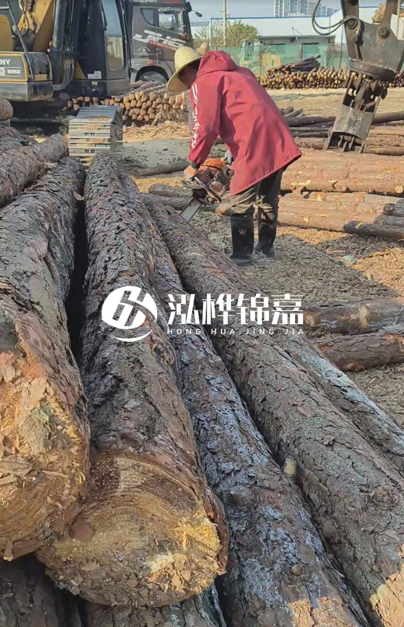 長(zhǎng)沙打樁木批發(fā)廠家在哪里？聯(lián)系方式是什么？