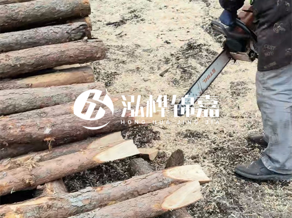 杉木樁批發(fā)廠(chǎng)家哪家好？產(chǎn)地直供渠道推薦！
