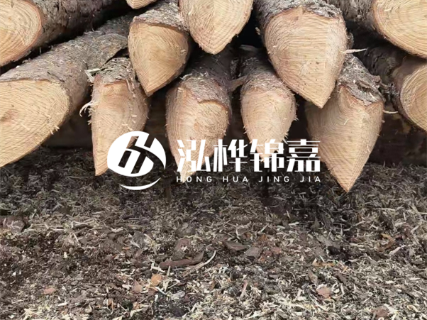 打樁木樁與鋼樁相比有哪些優(yōu)缺點(diǎn)？如何進(jìn)行后期維護(hù)？