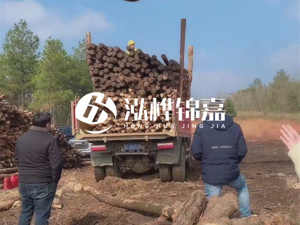松木樁價(jià)格是按米算還是按根算？6米松木樁批發(fā)價(jià)每根多少錢？