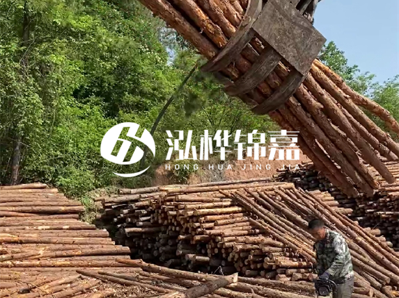 哪里能買到優(yōu)質(zhì) 3 米松木樁？長沙有松木樁批發(fā)工廠嗎？