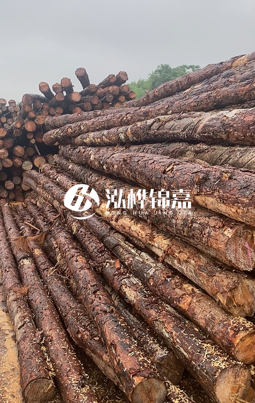 購買松木樁注意事項(xiàng)有哪些-不同直徑松木樁區(qū)別有哪些？