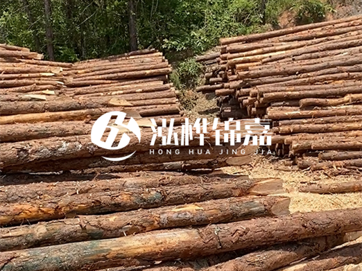 松木樁的運(yùn)輸費(fèi)用是否包含卸車費(fèi)？卸貨時(shí)需要注意哪些安全問題？