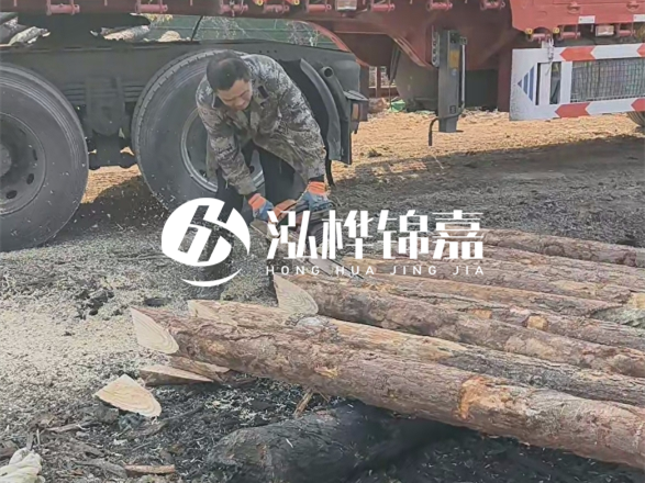 松木圓木價(jià)格大概多少一方-松木樁廠家按方可以賣嗎？