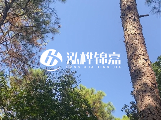 松木樁廠家泓樺錦嘉可以實地考察嗎？需要提前預約嗎？