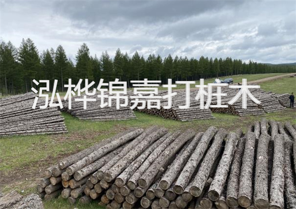 鋼結(jié)構(gòu)施工方案大全免費提供，助力工程建設(shè)