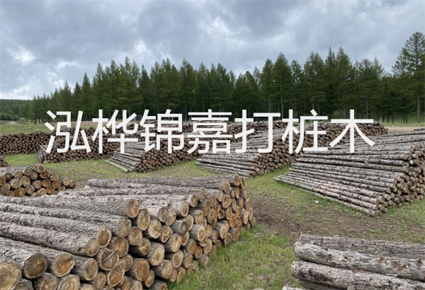 預(yù)制松木樁施工工藝：優(yōu)質(zhì)材料，高效快速，堅(jiān)固耐用