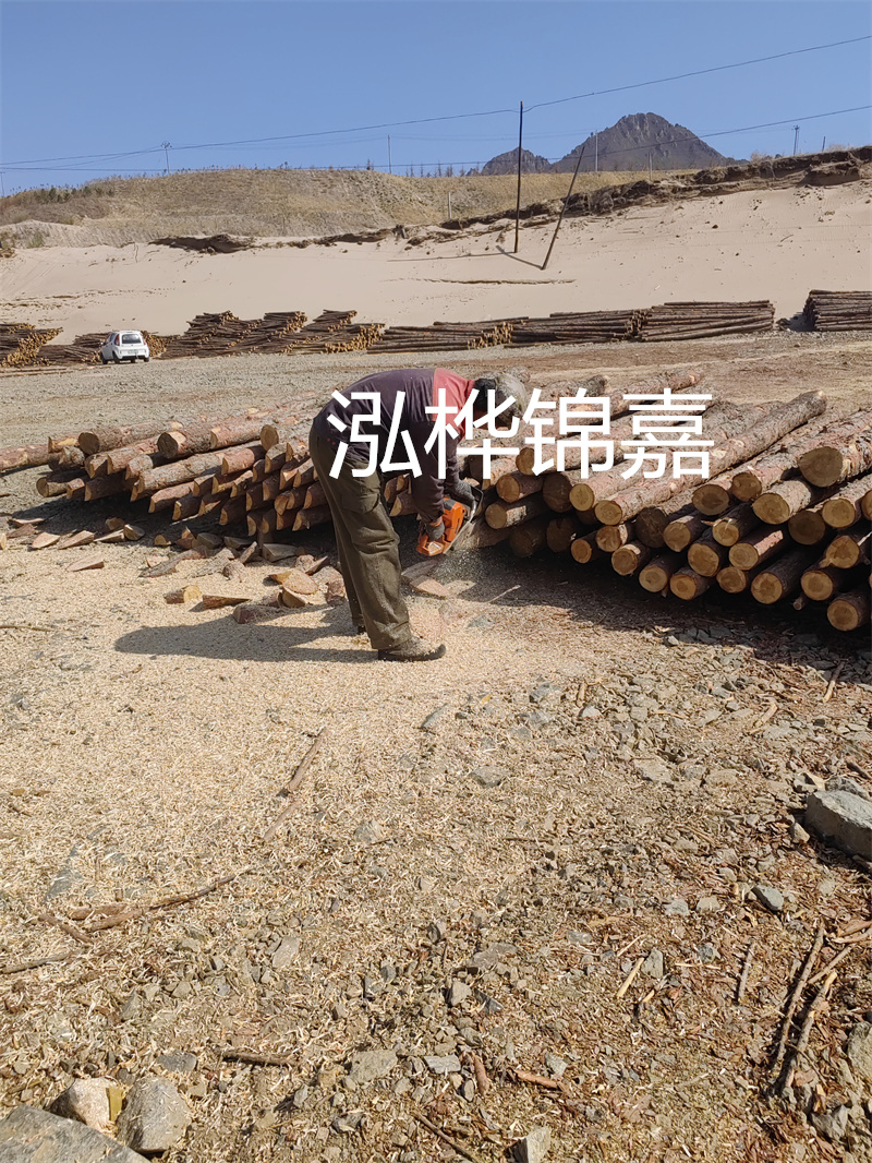 松木樁駁岸施工，打造水上風(fēng)景線