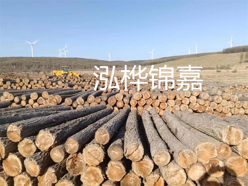 溫州松木樁施工廠家——為您打造堅(jiān)固穩(wěn)定的建筑基礎(chǔ)！