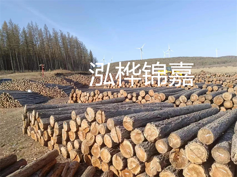 用路基松木樁施工方案提升工程質(zhì)量描述：了解路基松木樁施工方案的重要性，提高工程質(zhì)量關(guān)鍵詞：路基松木樁，施工方案，工程質(zhì)量