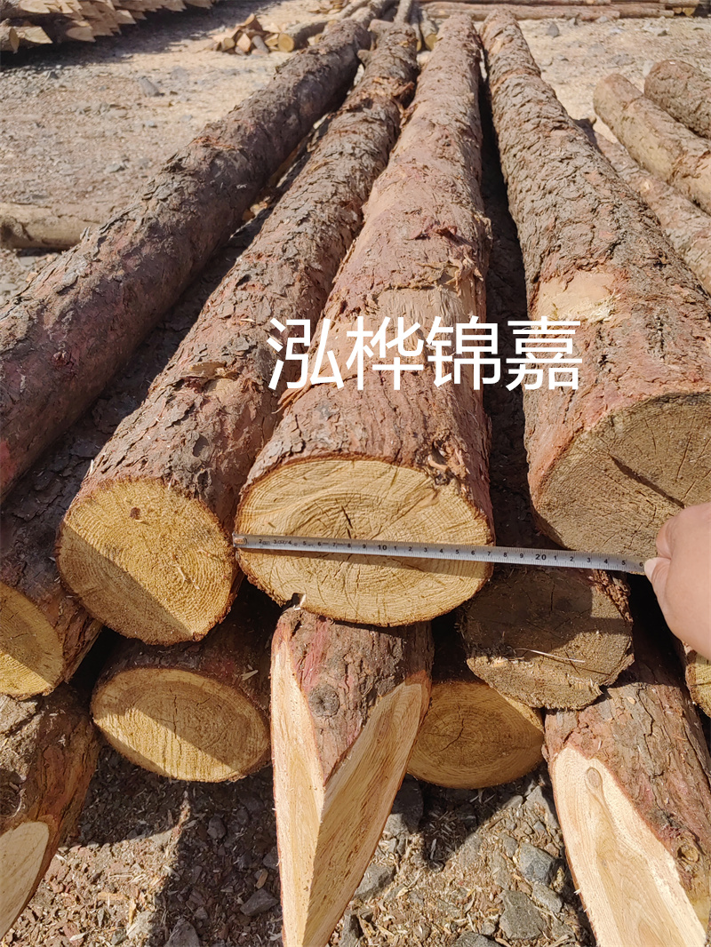 福建哪里買松木樁？
