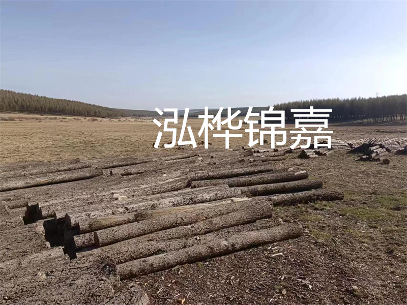 鄂州松木樁哪里好？推薦泓樺錦嘉松木樁業(yè)！